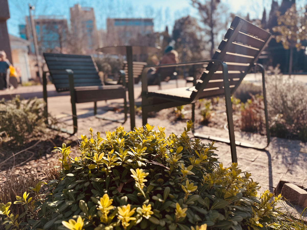 Сквер рядом с памятником Николаю Островскому, г. Сочи