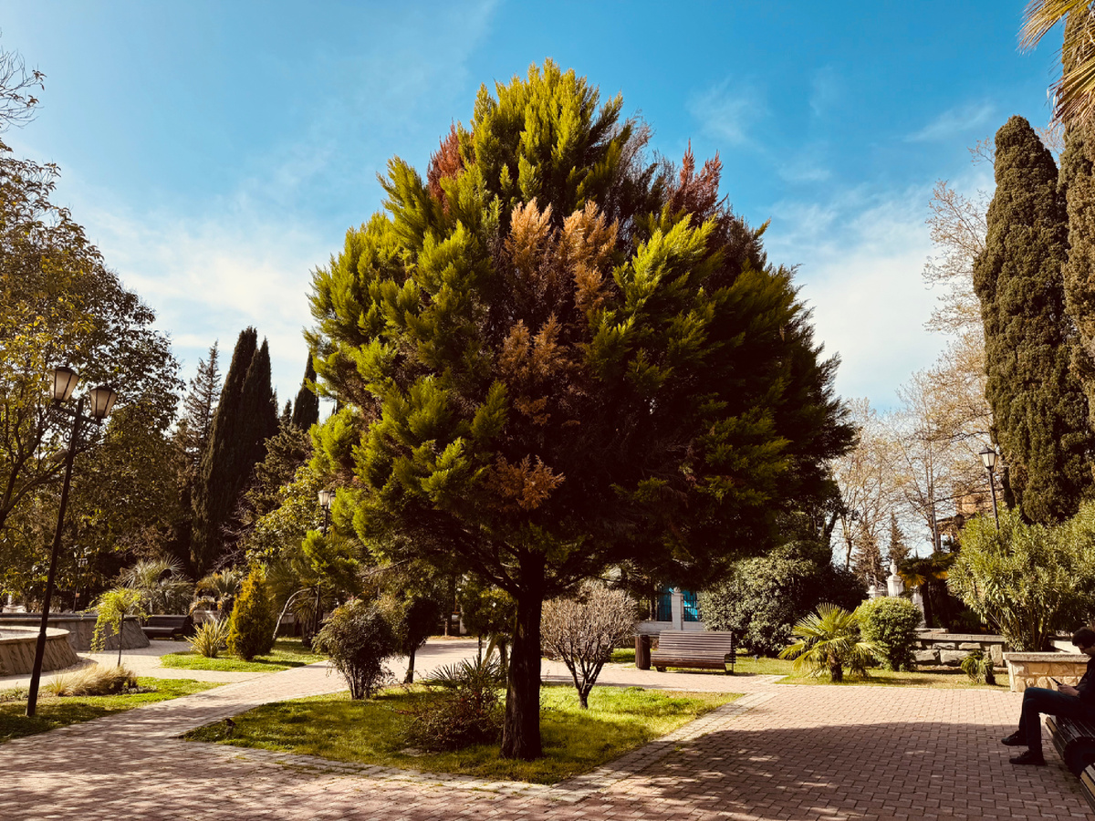 Сквер у храма, г. Сочи