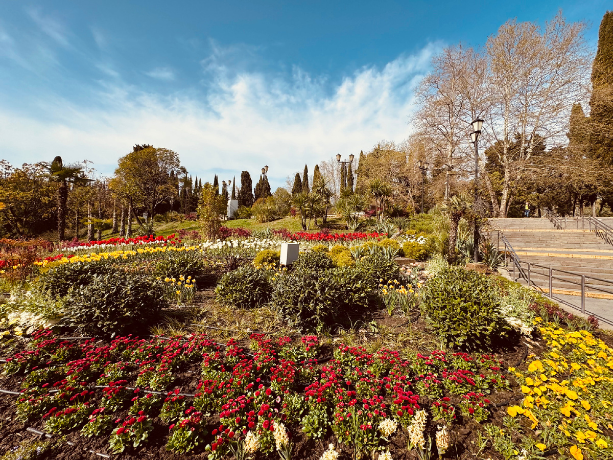 Цветочная клубам, перед концертным залом «Фестивальный», г. Сочи