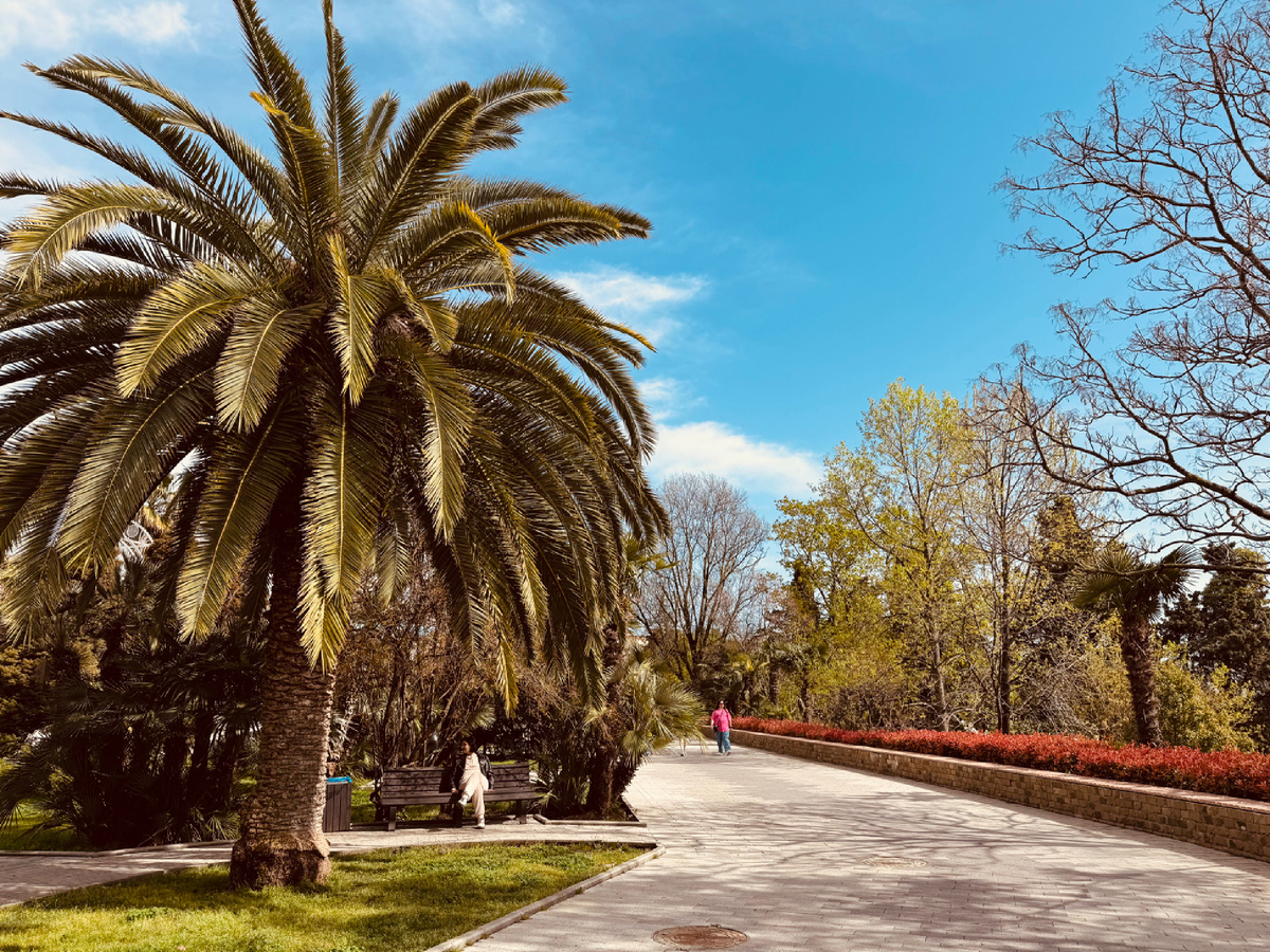 Приморский  парк, г. Сочи