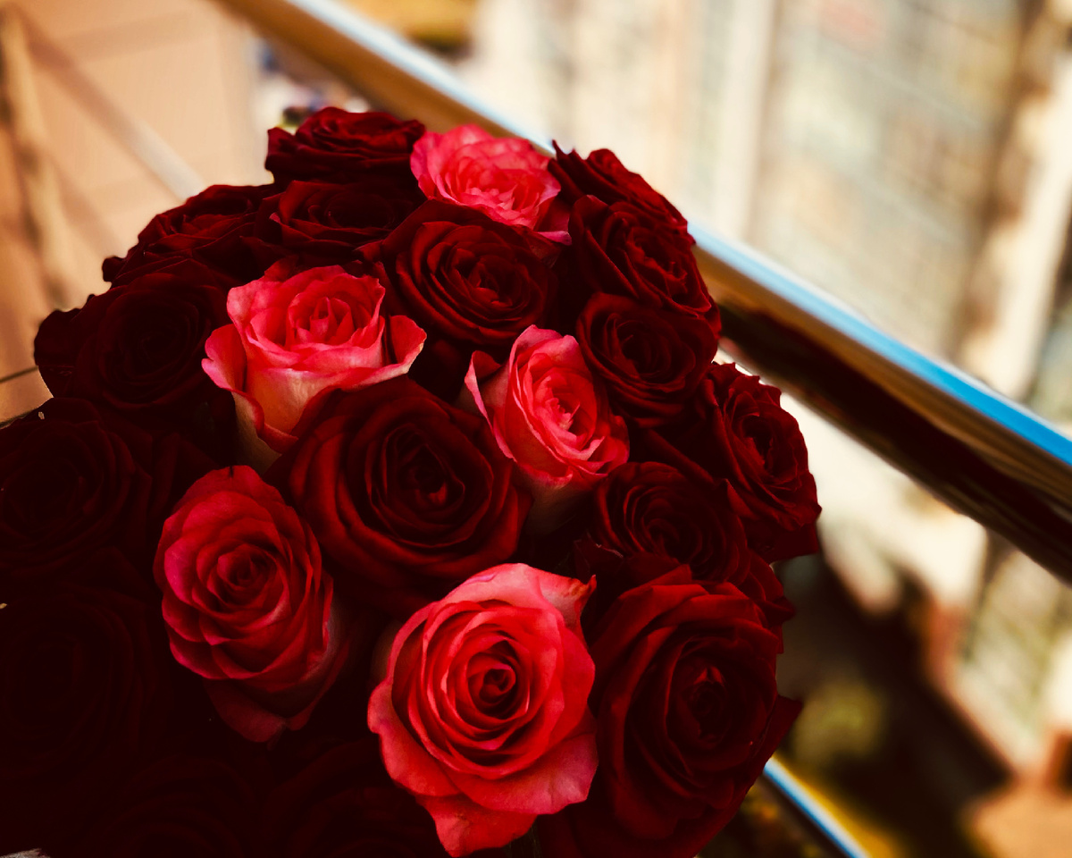 Красные розы, подарок на день рождения ❤️ Красные розы, подарок на день рождения ❤️