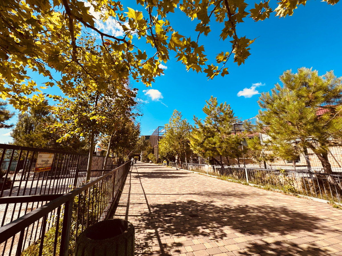 Парк львов «Тайган», Крым, г. Белогорск