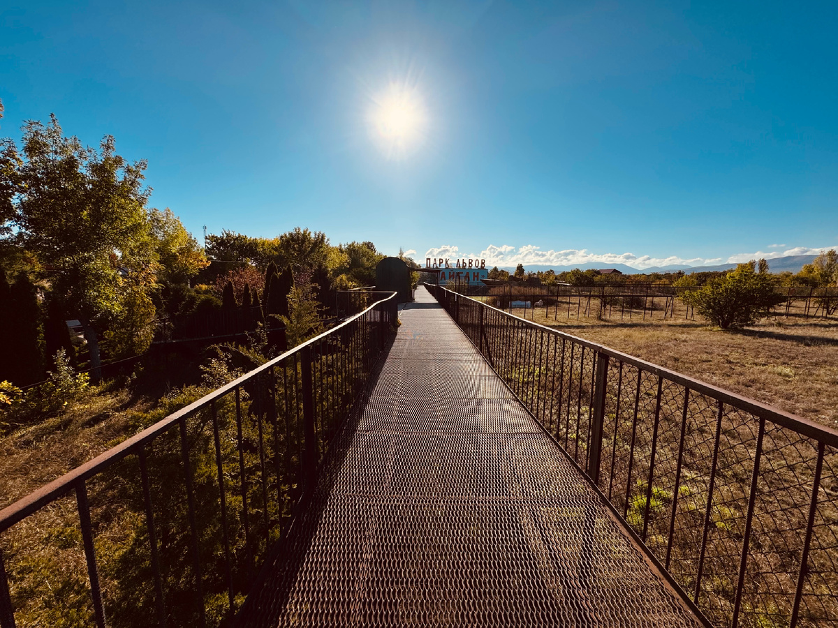 Сафари, Парк львов «Тайган», Крым, г. Белогорск