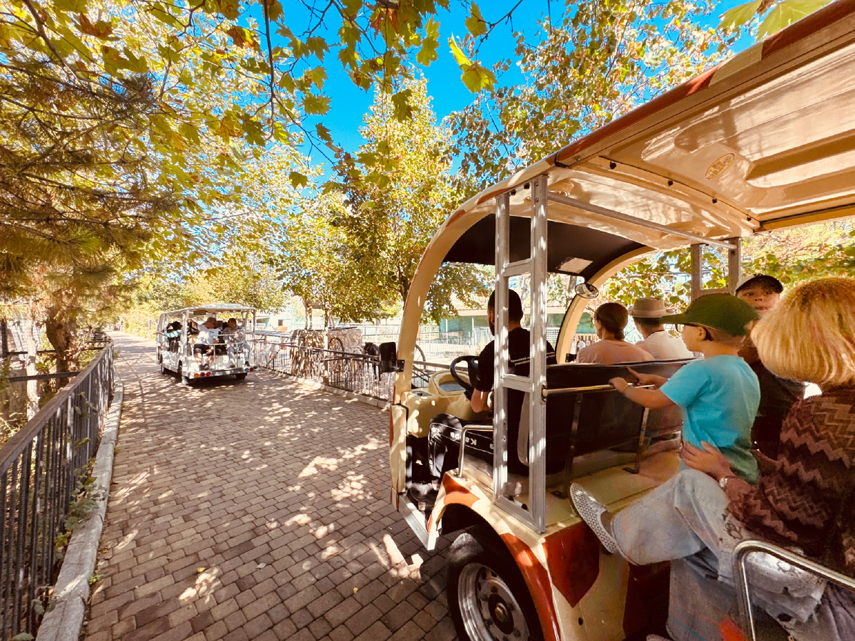 Зоопарк, Парк львов «Тайган», Крым, г. Белогорск