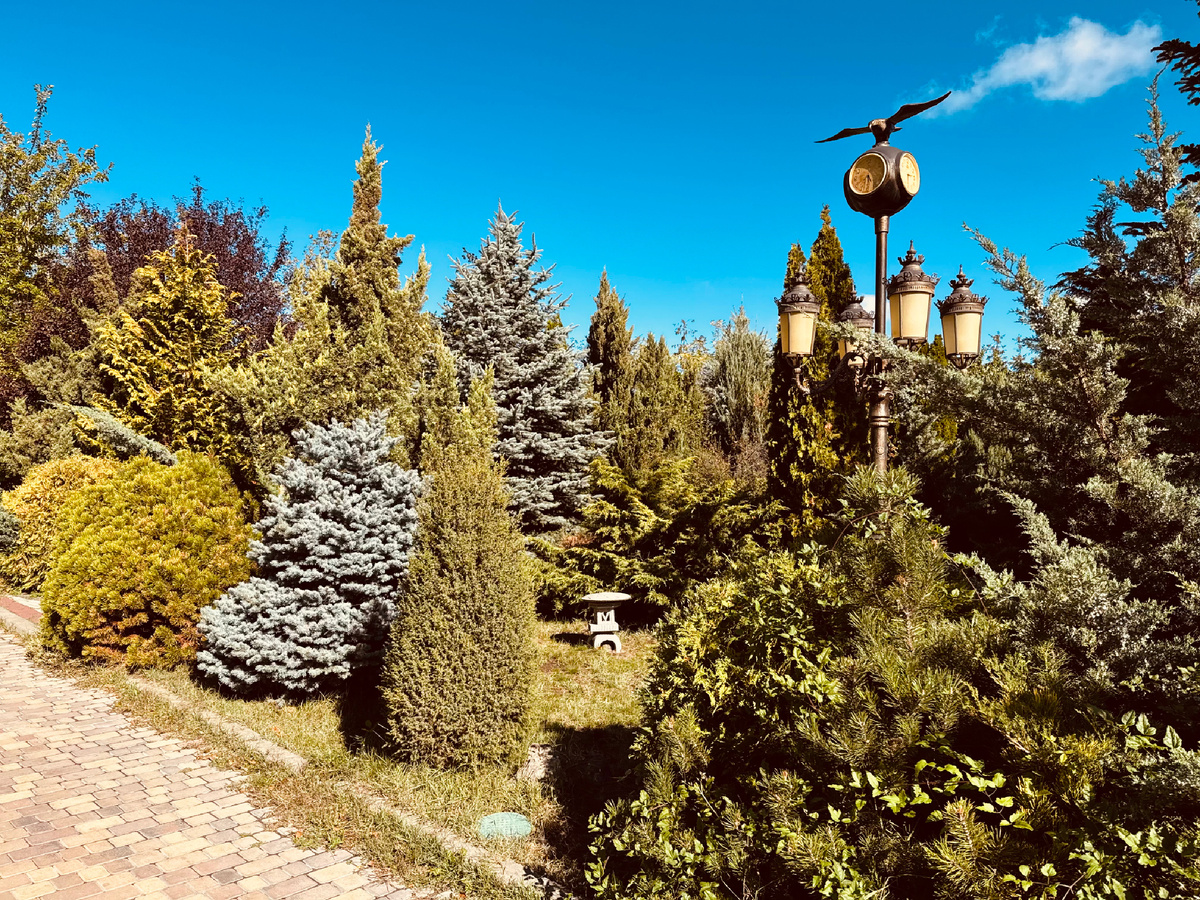 Парк львов «Тайган», Крым, г. Белогорск