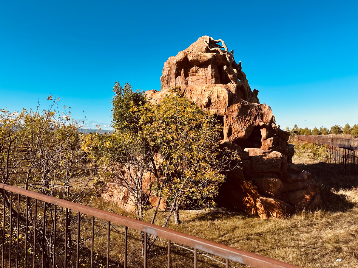 Сафари, Парк львов «Тайган», Крым, г. Белогорск