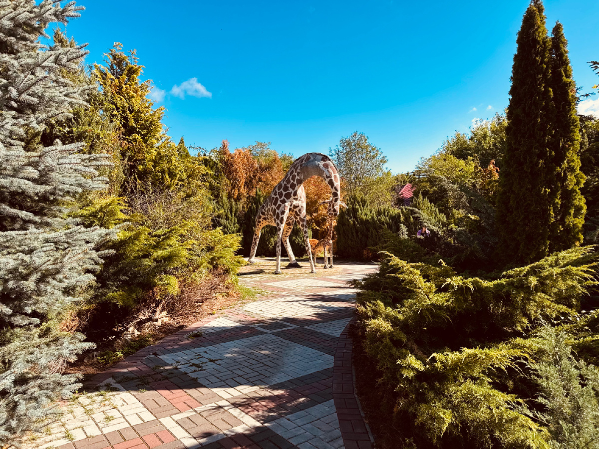 Парк львов «Тайган», Крым, г. Белогорск