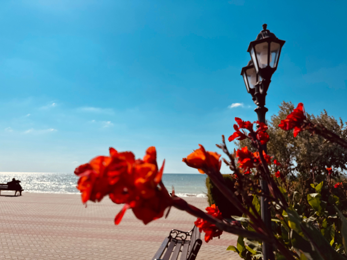 Санаторий «Полтава-Крым» г. Саки, Крым 🤍