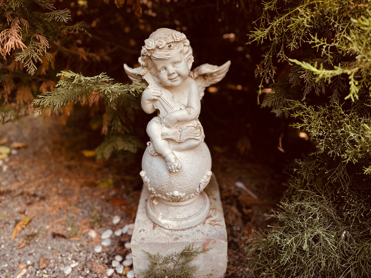 Санаторий «Полтава-Крым» г. Саки, Крым 🤍