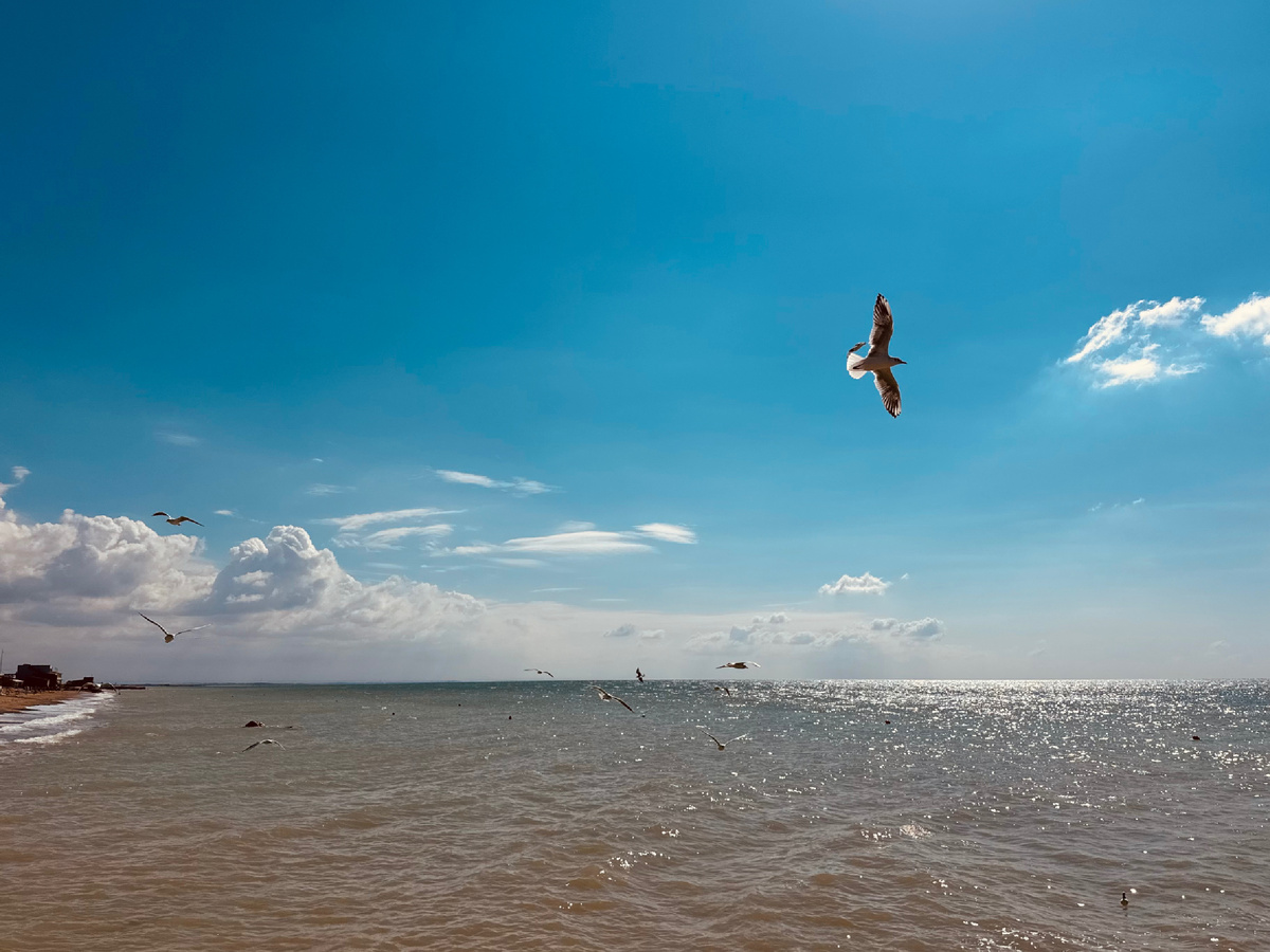 Санаторий «Полтава-Крым» г. Саки, Крым 🤍