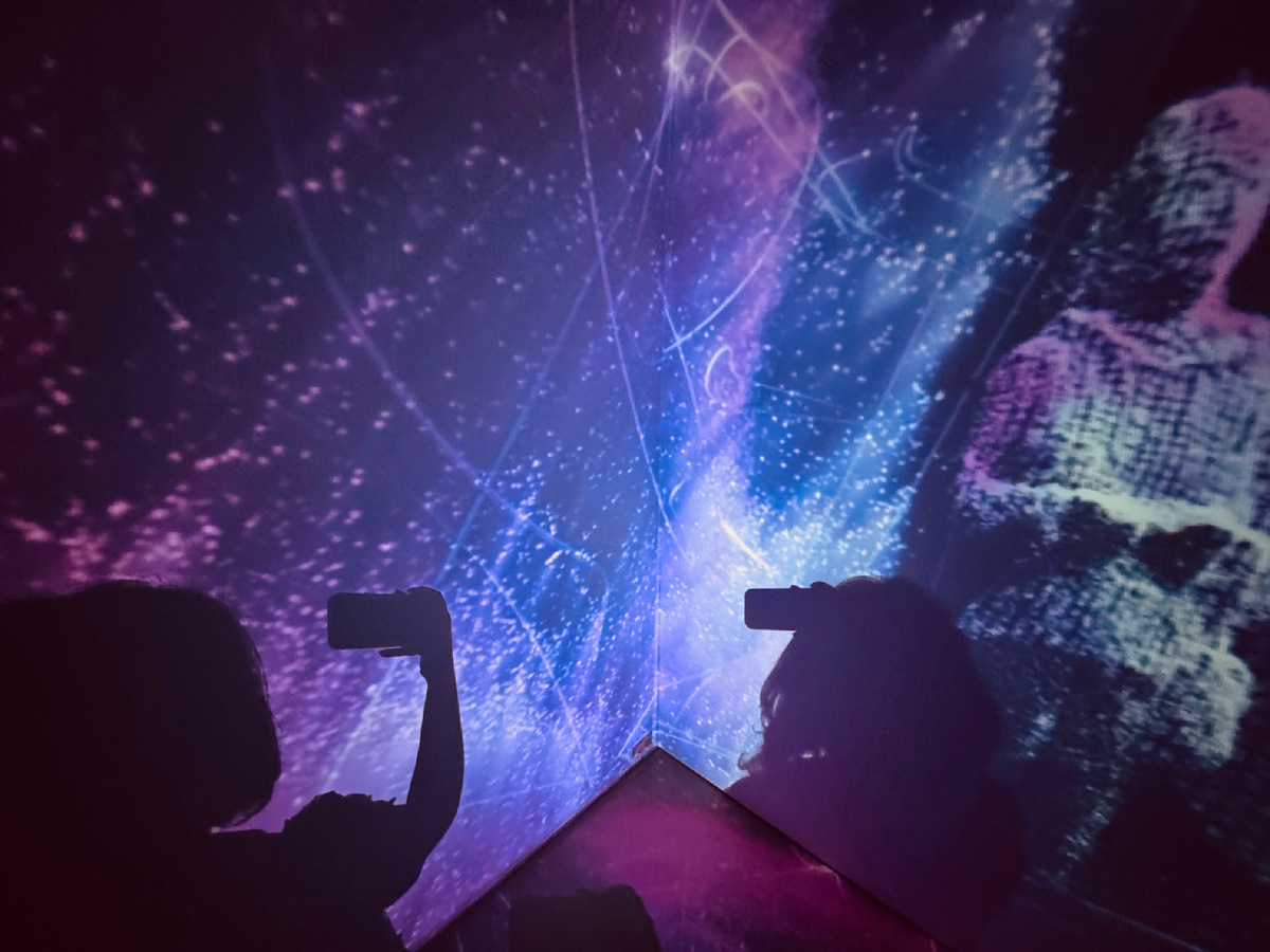 Иммерсионная выставка «Почувствуй стихии»