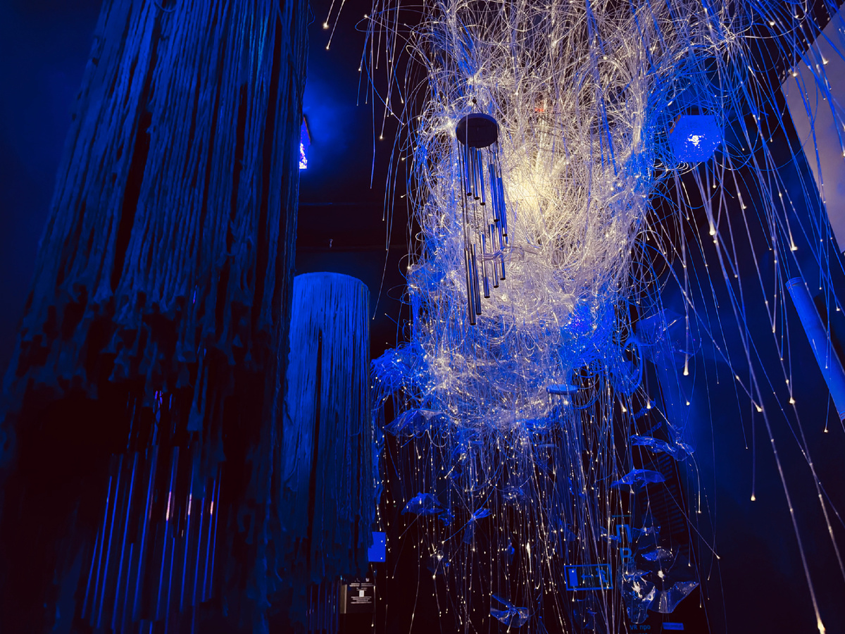 Иммерсионная выставка «Почувствуй стихии»