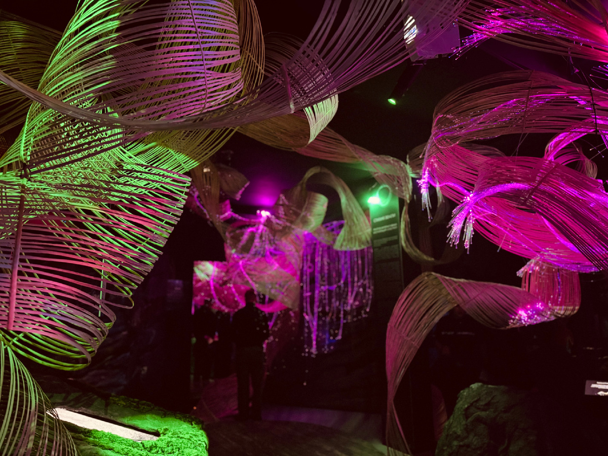 Иммерсионная выставка «Почувствуй стихии»