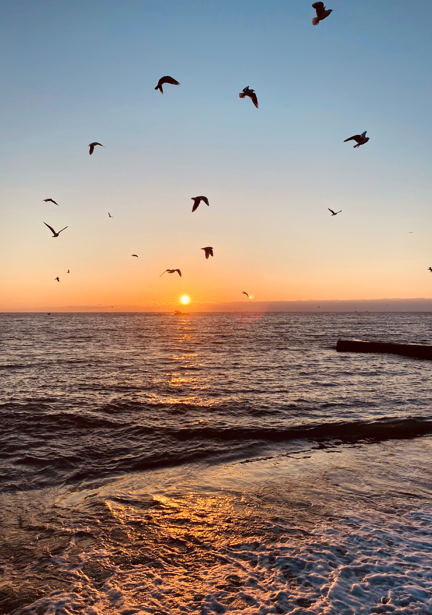 Чёрное море, Мамайка Чёрное море, Мамайка
