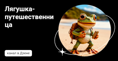 Канал в Дзен Лягушка-путешественница